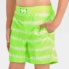 Boys' Striped Swim Shorts - Cat & Jack™ Lime Green 1 Boys' Striped Swim Shorts - Cat & Jack™ Lime Green -CAT and JACK Store GUEST 40efe0b1 14f9 4b50 93bf 71cf1033c267